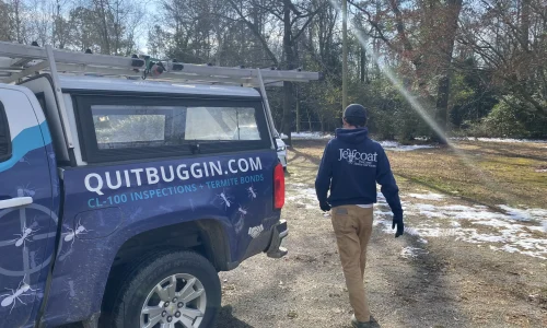 winter-pest-control-marketing-by-cut-throat-marketing
